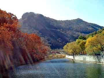 新澳门二四六天天彩，水晶板画